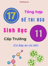 Tổng hợp 17 đề thi HSG Sinh học Lớp 11 cấp Trường (Có đáp án chi tiết)